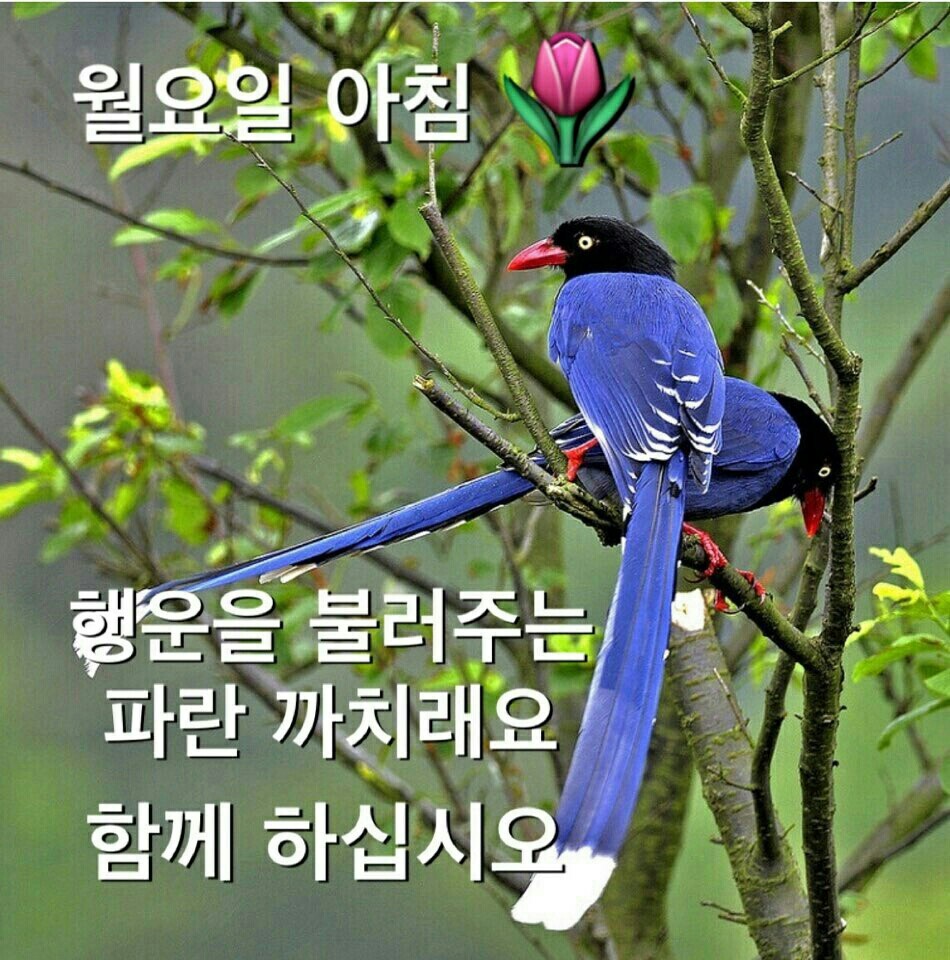 영아트 이미지