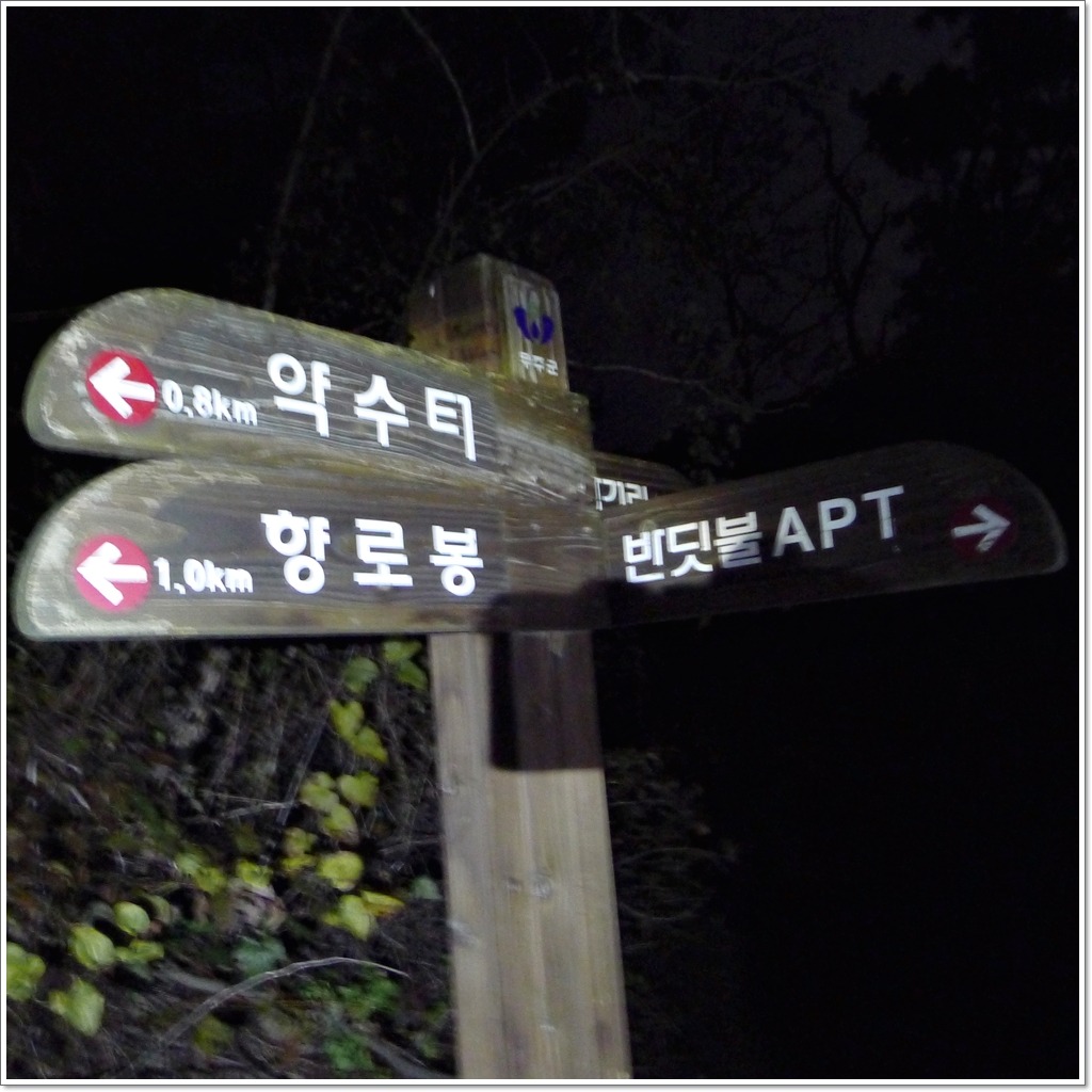 대향 이미지