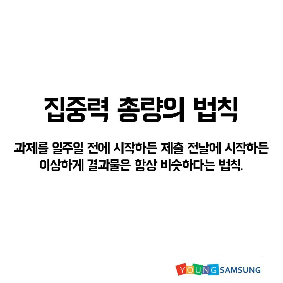 대학생이라면 누구도 피할 수 없는 과제 불변의 법칙 | 인스티즈
