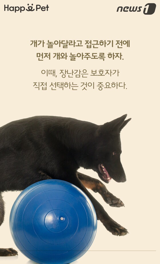 멍멍이가 펑퍼짐한 엉덩이를 들이민다고요? | 인스티즈