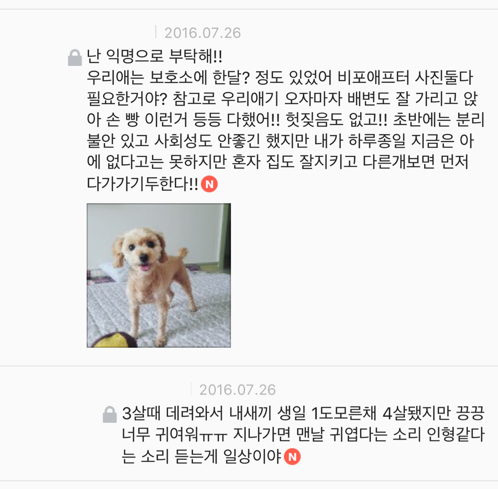 유기견 입양은 좀 꺼려져; 문제가 있어서 버려진 애들 아냐? | 인스티즈