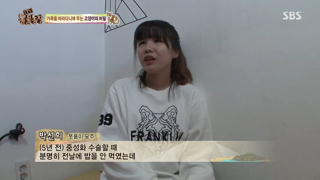 [동물농장] 존트 할말 다 하고 사는 수다쟁이 고양이 쪼롱이ㅋㅋㅋㅋ.jpg | 인스티즈