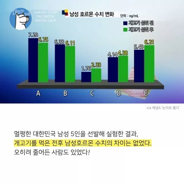 개고기를 먹지말아야 하는 설득력있는 이유 | 인스티즈