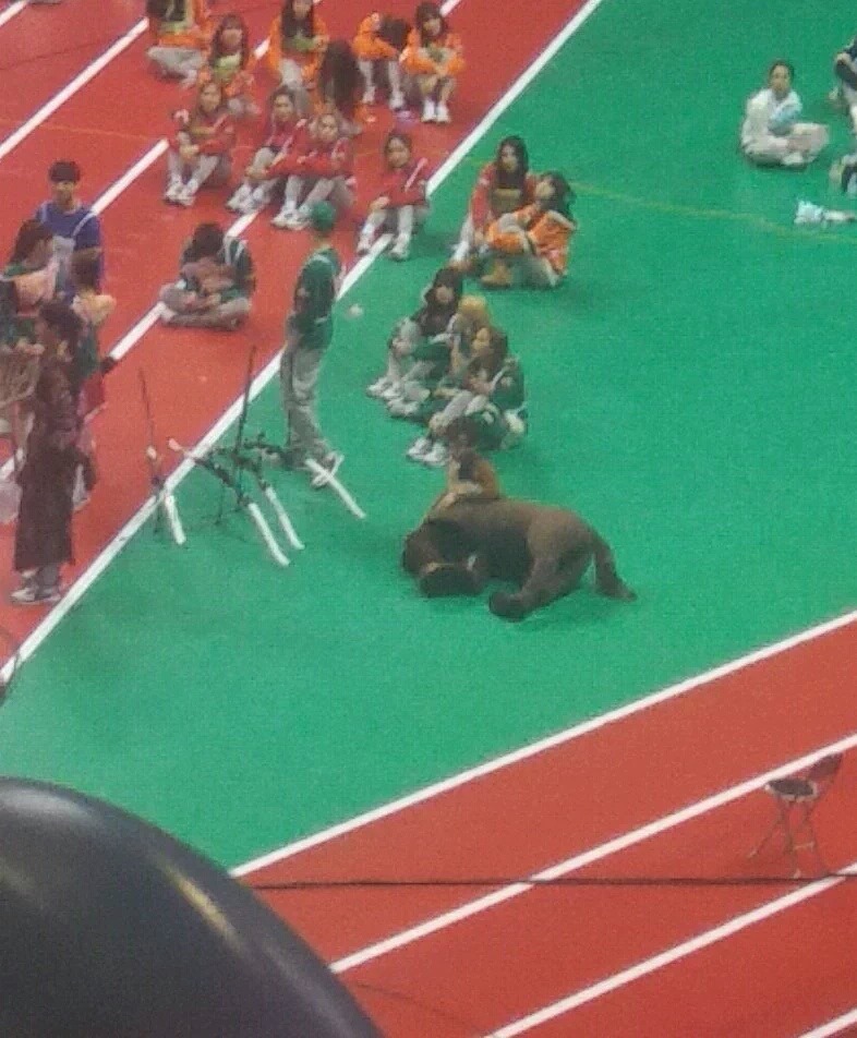 아육대 켄타우로스 출연.jpg | 인스티즈