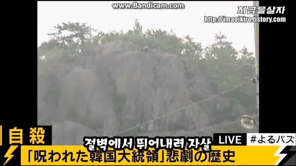 일본 실컷 까이고 있는 한국 | 인스티즈