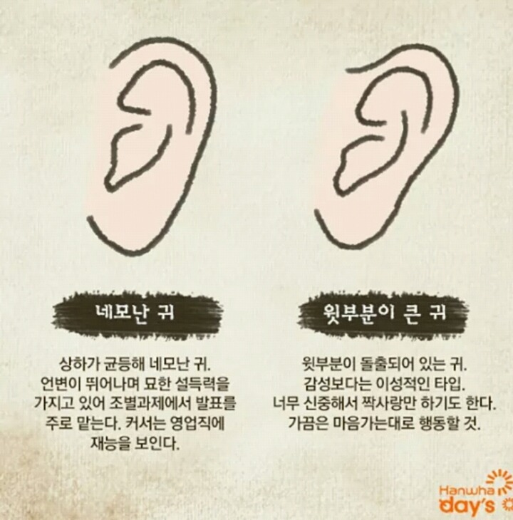 귀모양으로 보는 성격! | 인스티즈