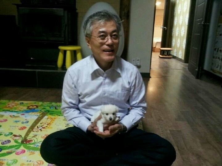 문재인 강아지 .jpg | 인스티즈