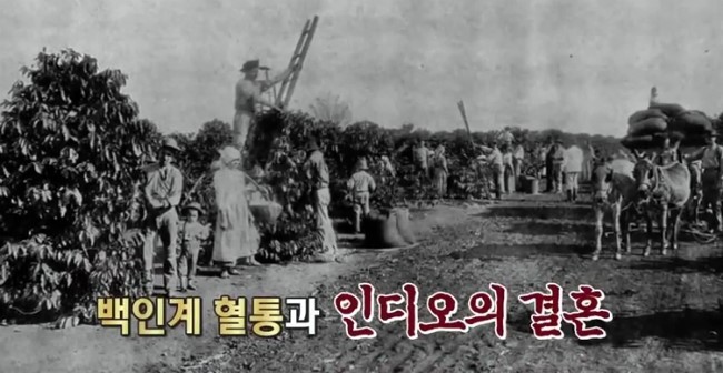 남미 최대 미인 배출 지역.jpg | 인스티즈