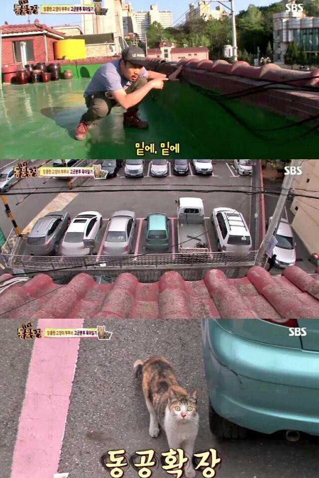 실패한 잠입취재 | 인스티즈