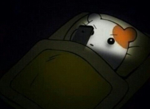 커뮤할때 특징.jpg | 인스티즈