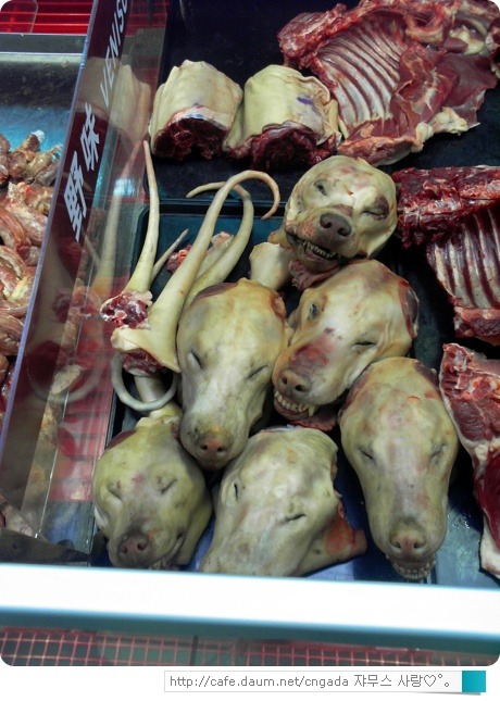 대륙마트 이미지