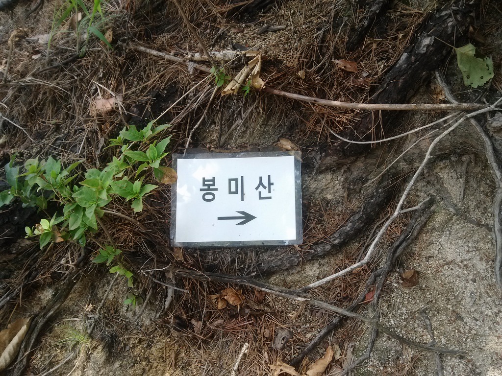 국립산음자연휴양림 이미지