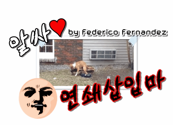 묘한 느낌의 영화 한장면 모음 24탄.gif | 인스티즈