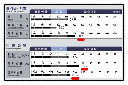 구미퍼스널트레이닝웰라인휘트니스 이미지