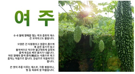 나리슈퍼 이미지