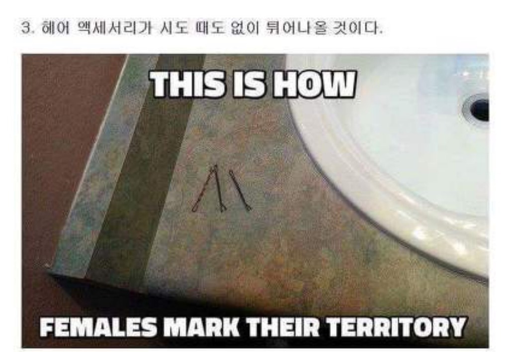 여자와 같이 살면 생기는 일들 | 인스티즈