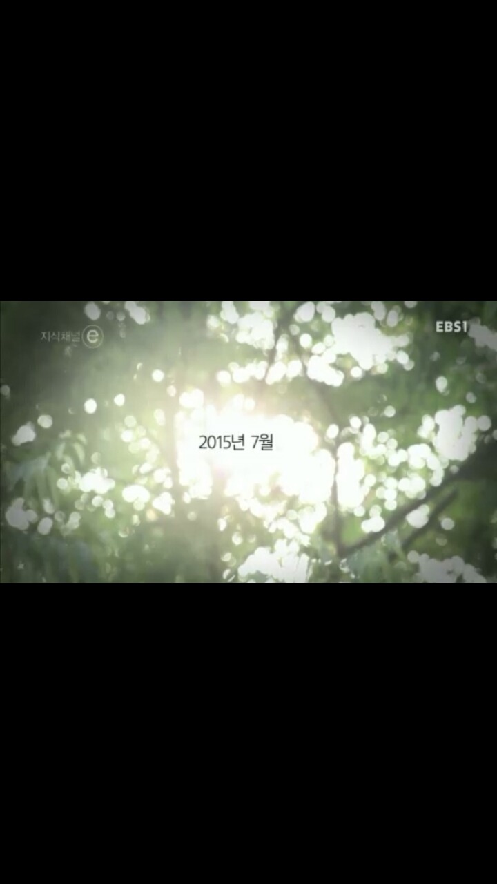 [[세월호]] [[[눈물주의]] ] 엄마, 내 친구들은 참 멋진 녀석들이에요 | 인스티즈