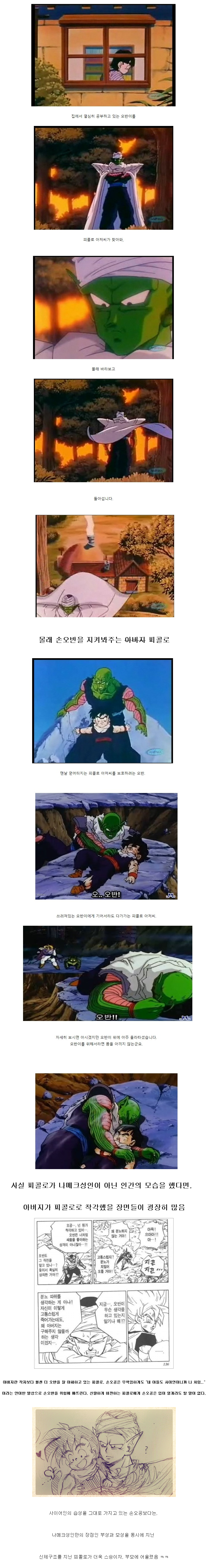 드래곤볼 손오반의 진정한 아버지 .jpg | 인스티즈