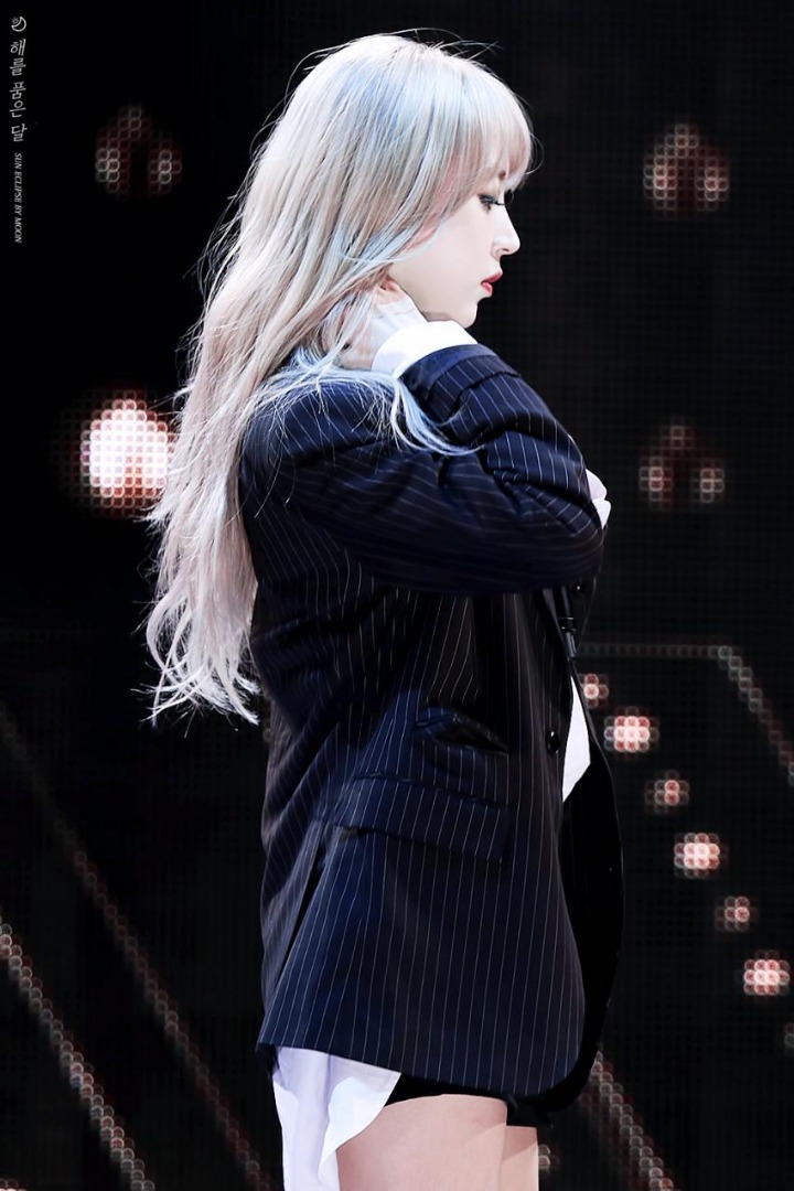 별콩 이미지