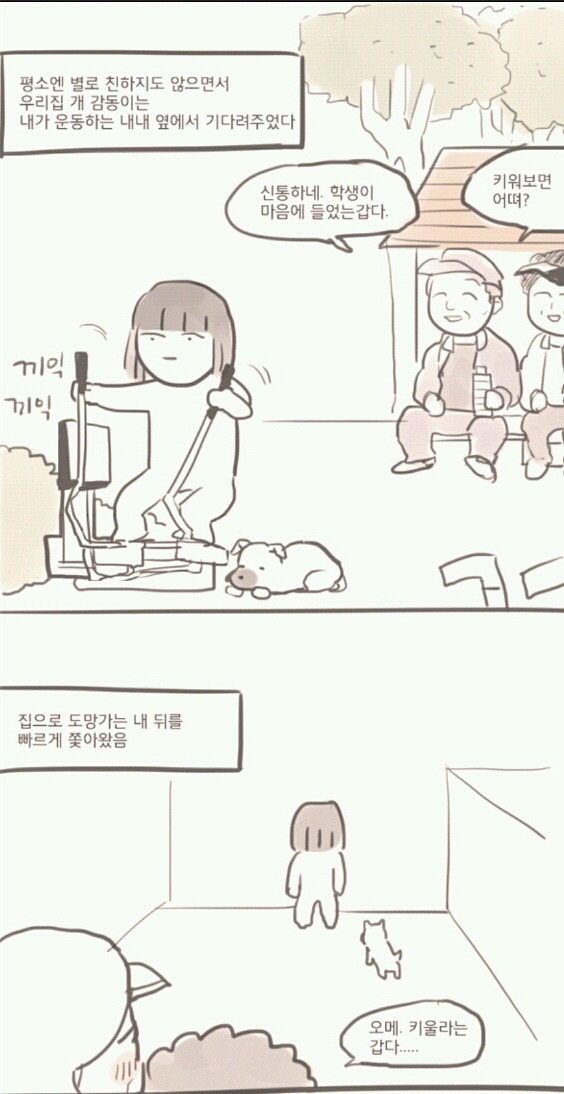 길에서 만난 우리 강아지 | 인스티즈