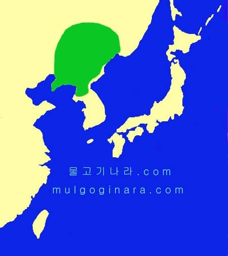 (합)태*사 이미지