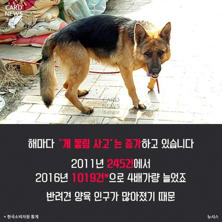 우리집 이미지
