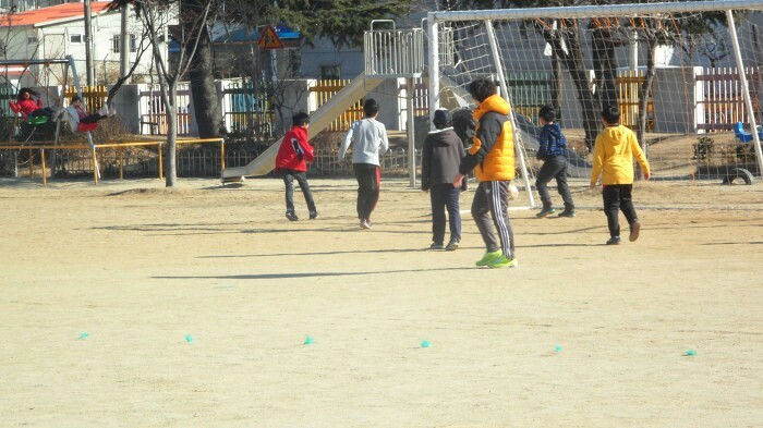 강릉초등학교 이미지