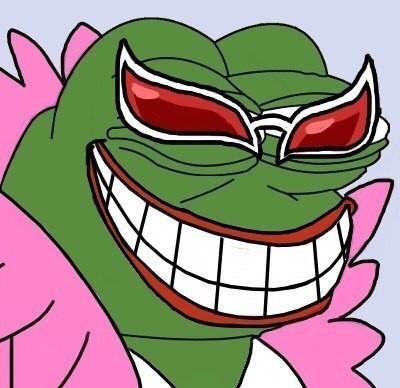 개구리 짤들 | 인스티즈