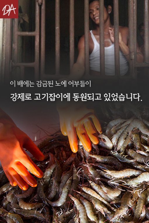 여러분이 먹는 해산물은 노예가 잡아온 것입니다 | 인스티즈