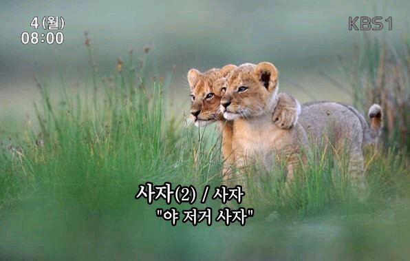 내가 차를 안사는 이유.gif | 인스티즈