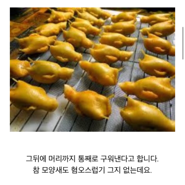 세상에서 가장 잔인한 음식 오르톨랑(혐오주의) | 인스티즈