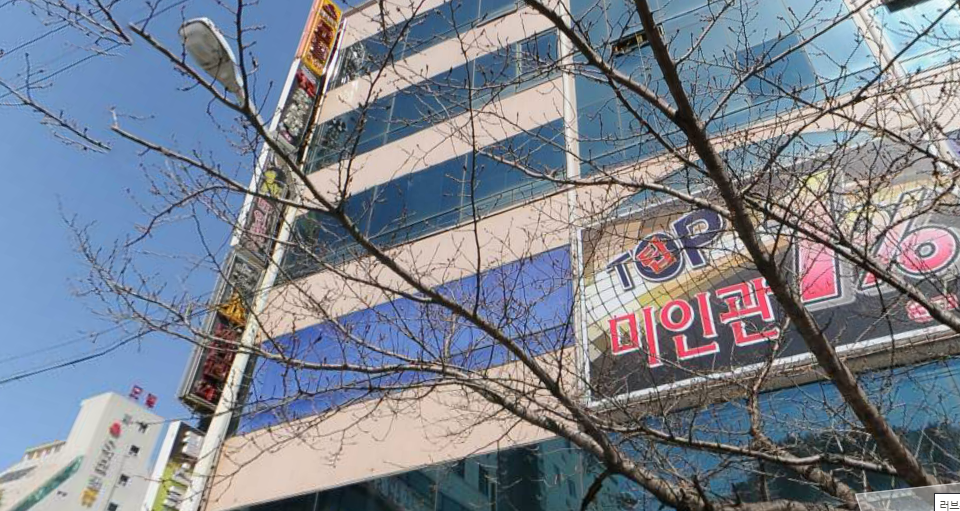 노래를 사랑하는 도시 | 인스티즈