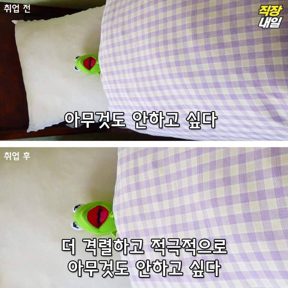 직장인이 되기 전과 후.jpg | 인스티즈