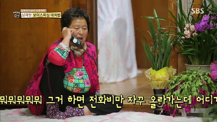 젊은층은 잘 모르는 SBS 꿀잼 예능.jpg | 인스티즈