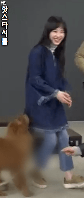 발정난 개.gif | 인스티즈