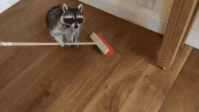 청소하는 너굴맨.gif | 인스티즈