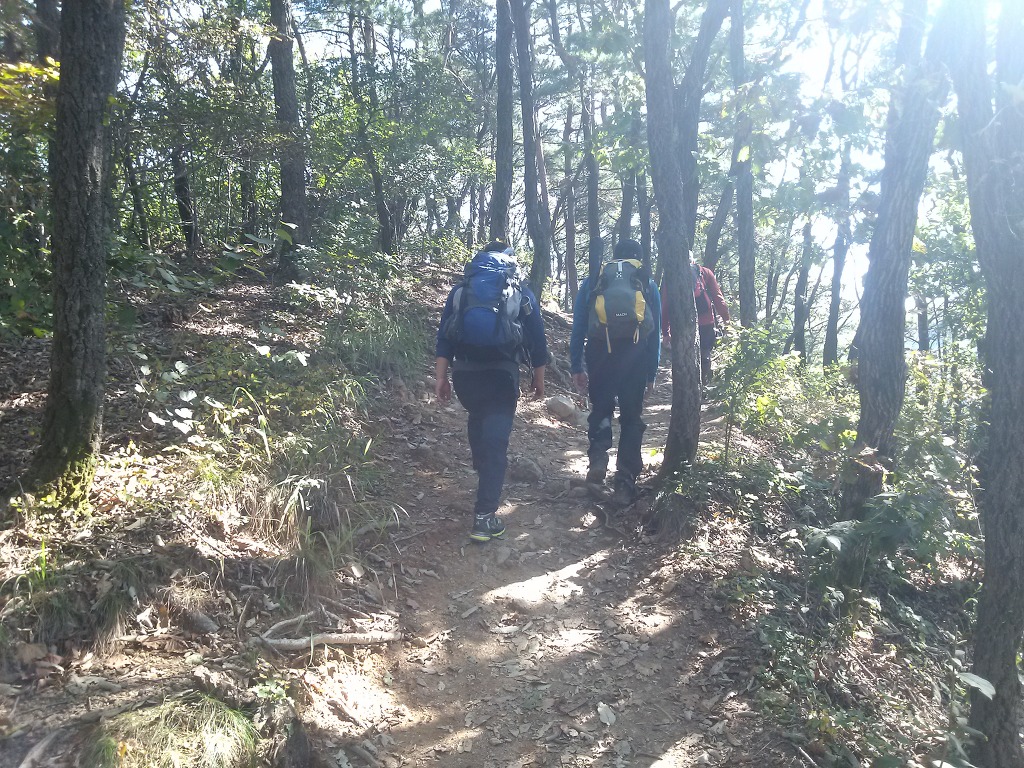정상에 다다르는 길 이미지