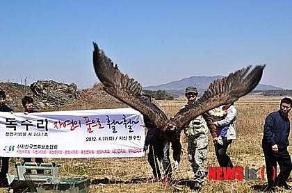 실제 독수리 본 장동민 | 인스티즈