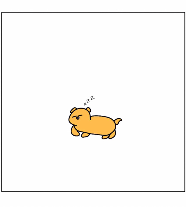 강아지가 우리 곁을 떠날 때 | 인스티즈