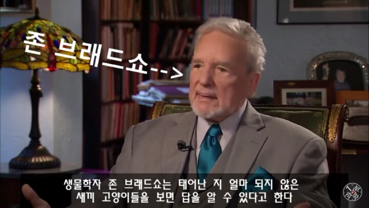 고양이가 "야옹~"하고 우는 이유는?? | 인스티즈