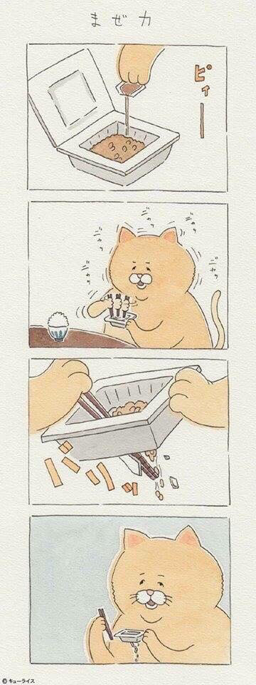 운 없는 고양이 시리즈.jpg | 인스티즈