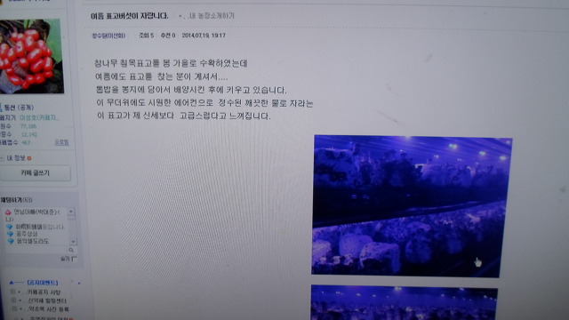 창수원 이미지