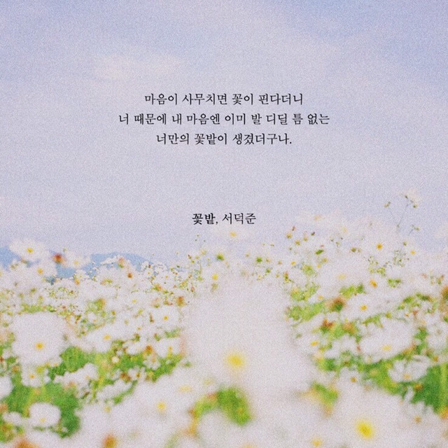 해는 다 졌고 꽃도 저물었고 하루가 죽었고 마음의 지평선 위로 별이 총총 눈을 떴고 달은 튕겨오르고 | 인스티즈