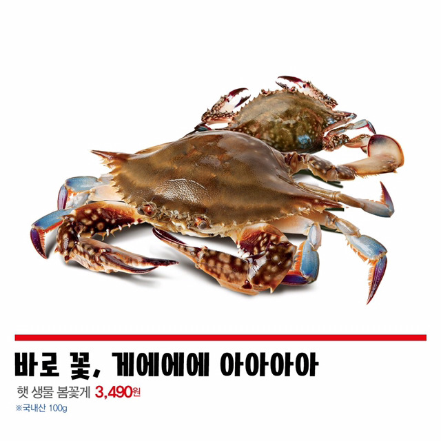 할인is뭔들 | 인스티즈
