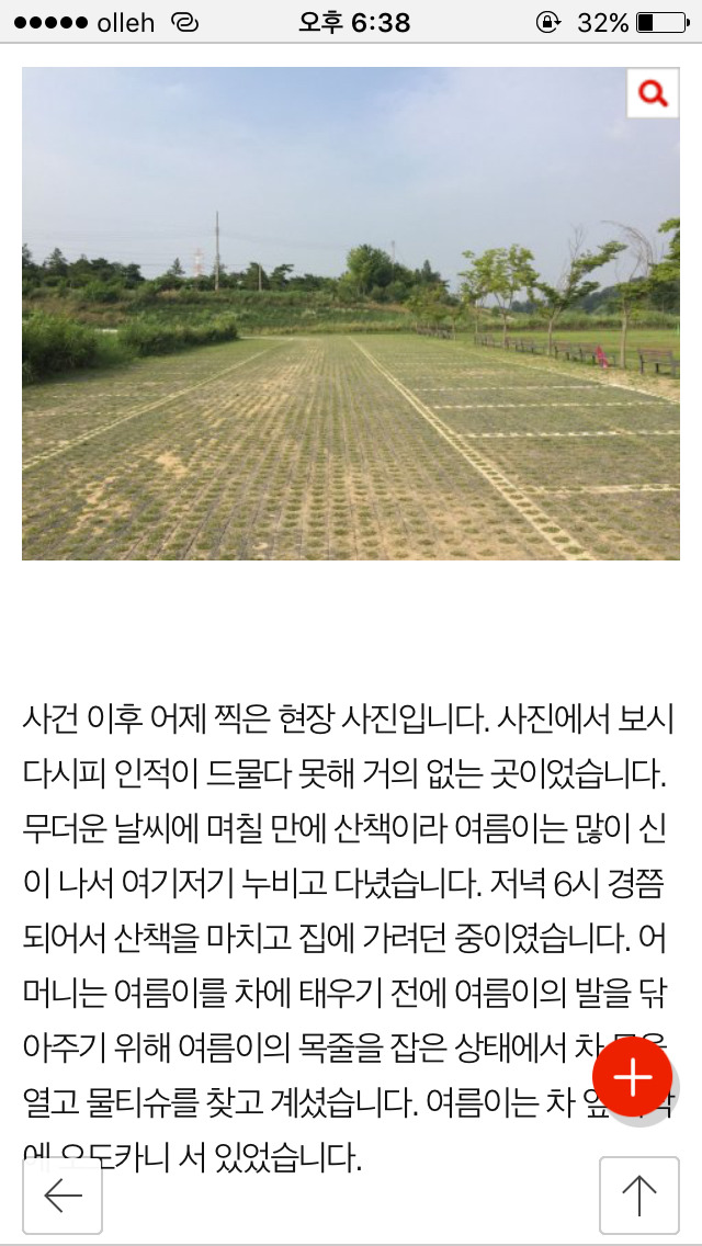 저희 개가 (여름이) 다른 개에게 물려 죽었습니다...(사진) | 인스티즈