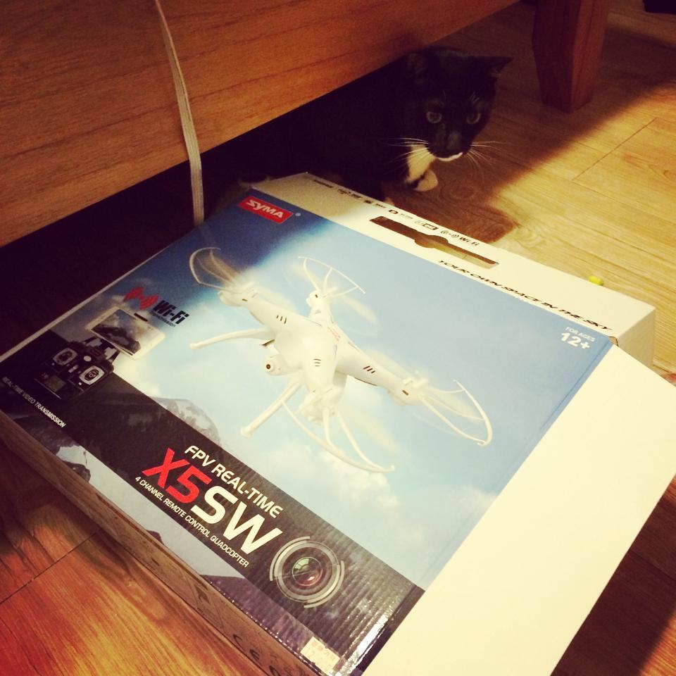 고양이 때문에 아내에게 들켜버린 남편.... | 인스티즈