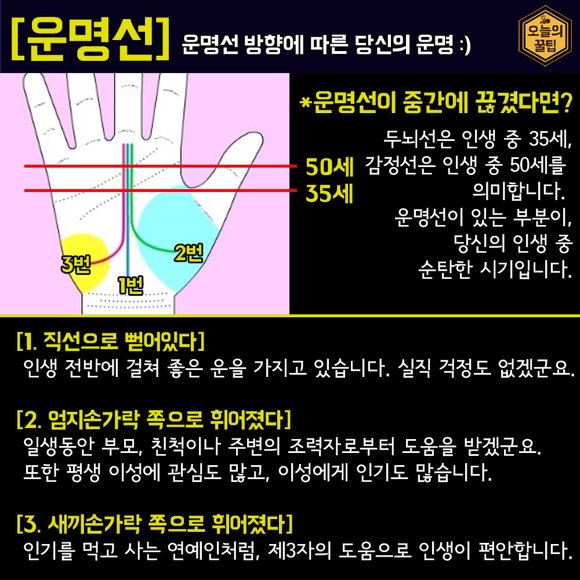 재미로 해보는 손금 보는법 | 인스티즈