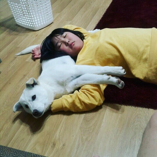 개소주가 되어 주인품으로 돌아온 매실이. 매실이는 이쁘고 영리하지만 겁도많은 소중한 가족이었습니다 | 인스티즈