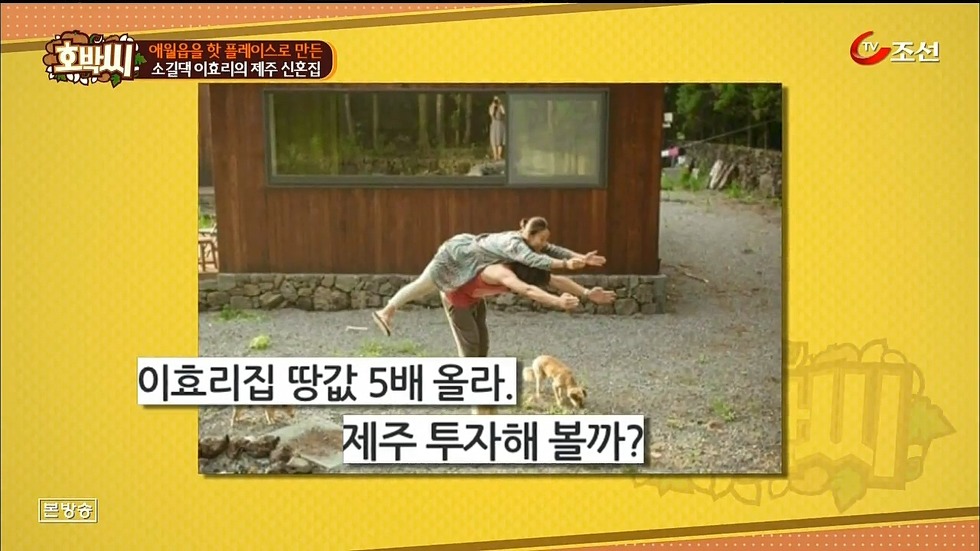 이효리-이상순 부부가 산다는 제주시 애월읍 | 인스티즈