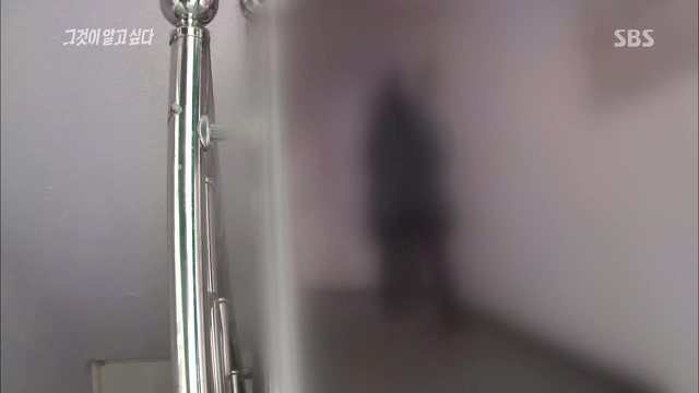 [그것이알고싶다] 두 얼굴의 여인 - 15년간의 거짓말 5 | 인스티즈